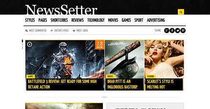 Newssetter News WordPress Theme